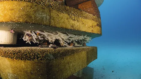 Naturaleza y Recursos